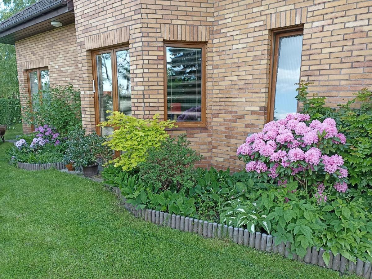 Dom Turysty Na Skarpie Malbork Exterior foto